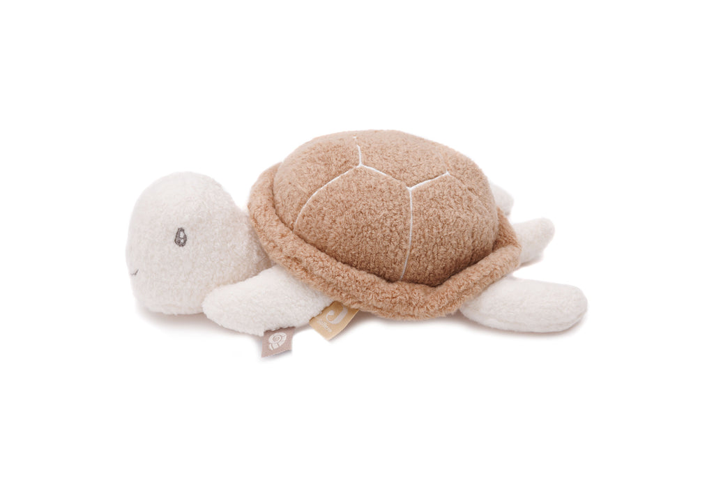 Jouets d'activités tortue