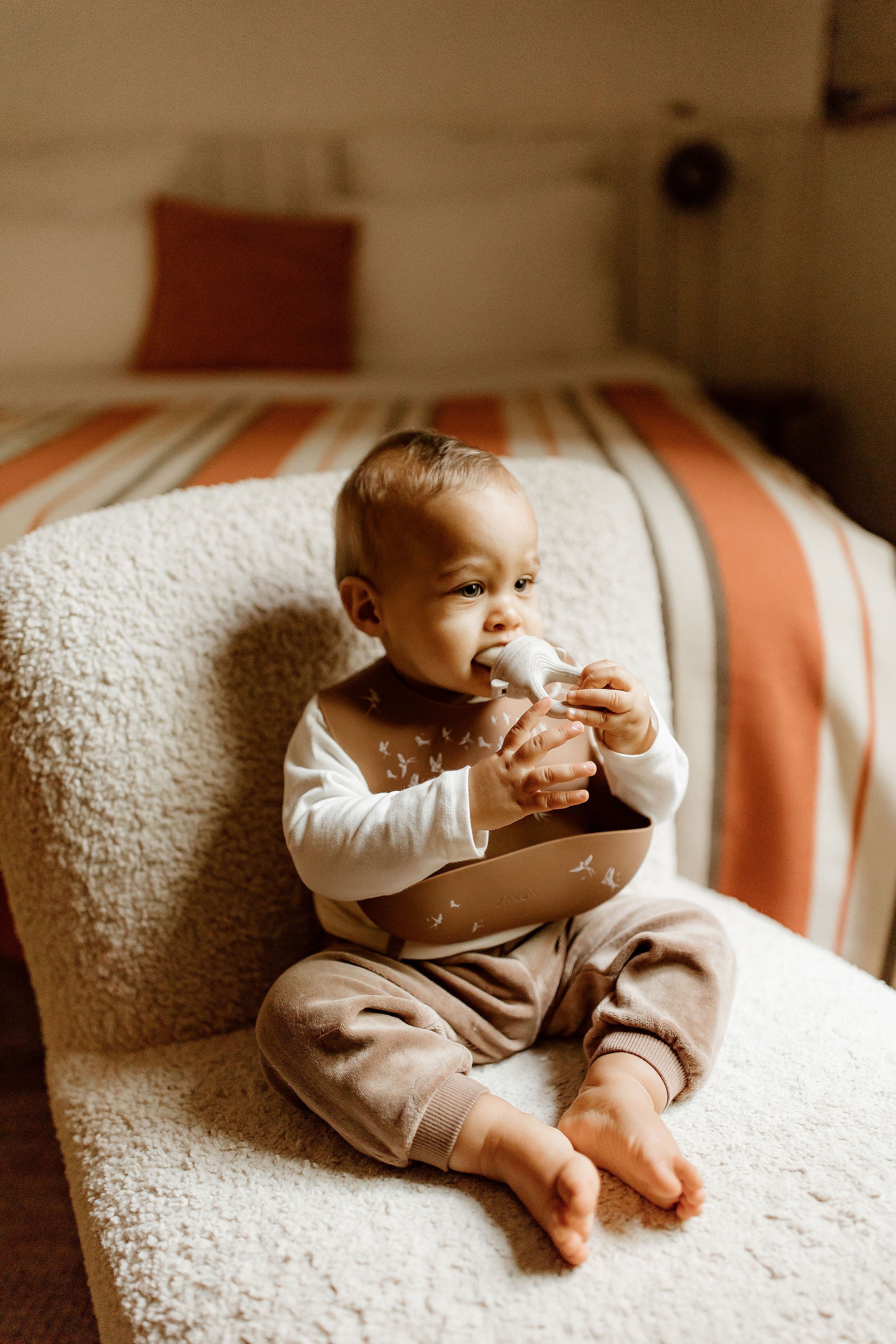 Tétine grignoteuse - Sauge