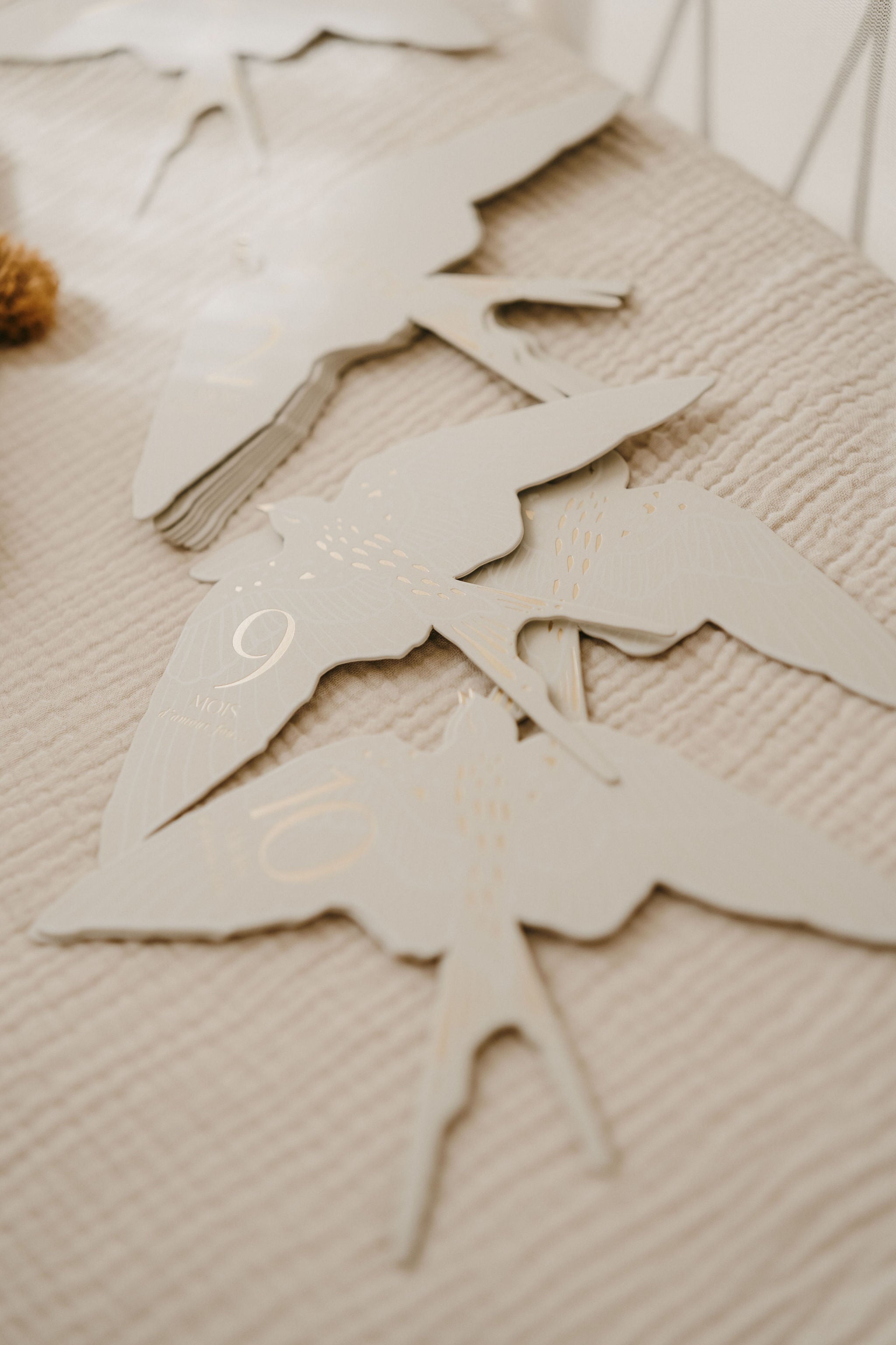 Cartes étapes - BIRDS