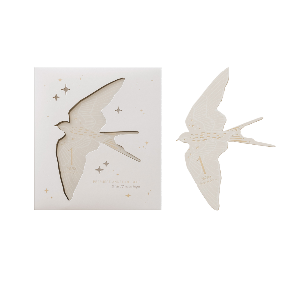 Cartes étapes - BIRDS