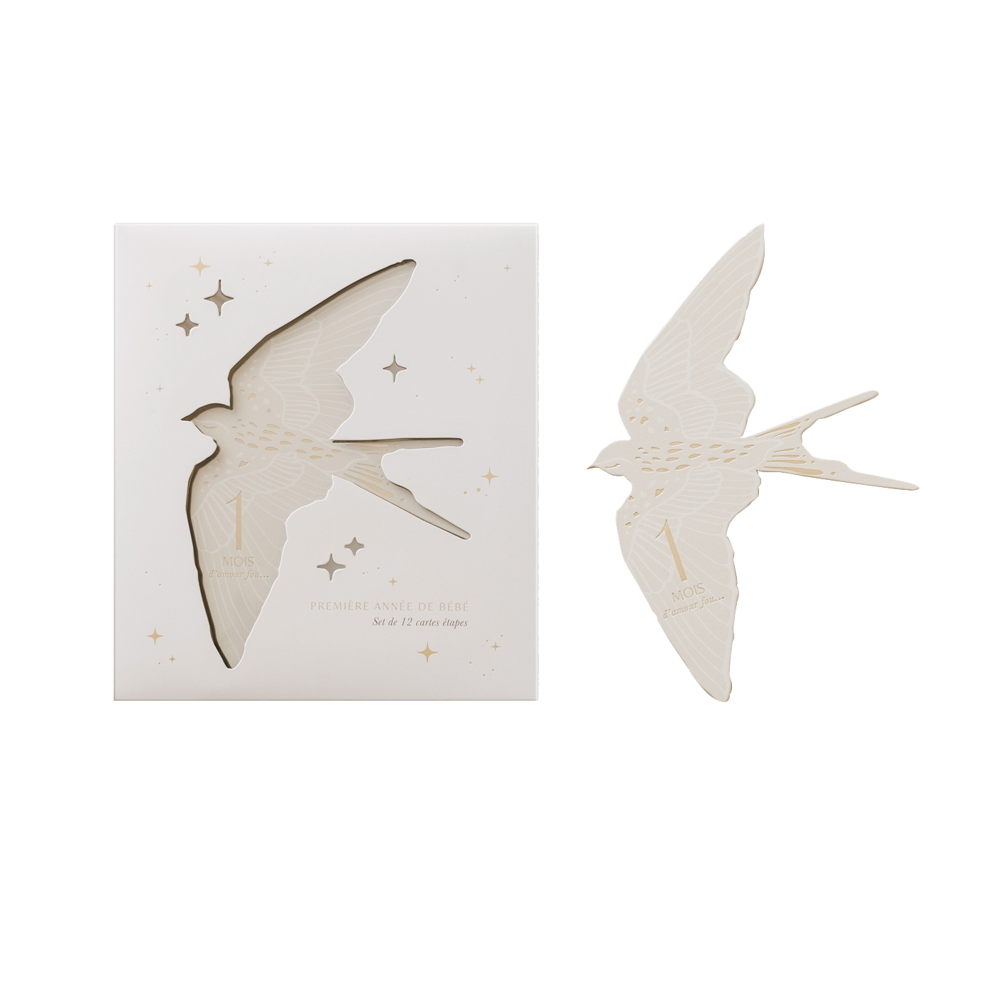 Cartes étapes - BIRDS